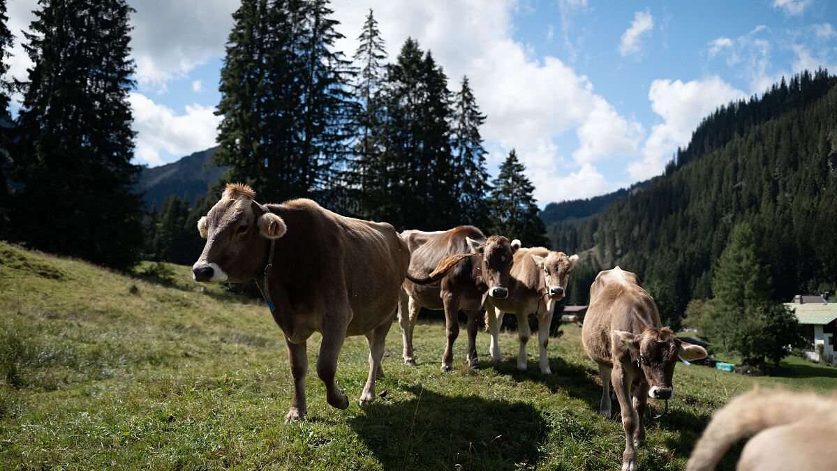 PW - 41 - Heimatleuchten - Eigene Wege – Im Kleinwalsertal