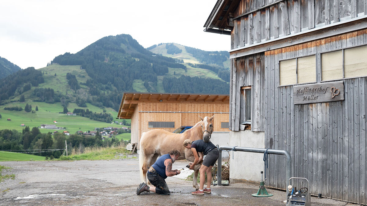 PW - 41 - Heimatleuchten - Eigene Wege – Im Kleinwalsertal