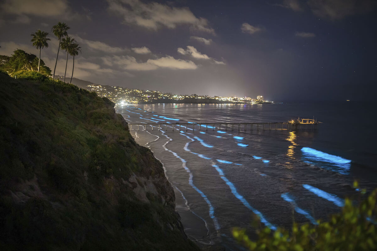 PW - 47 - San Diego - Americas Wildest City