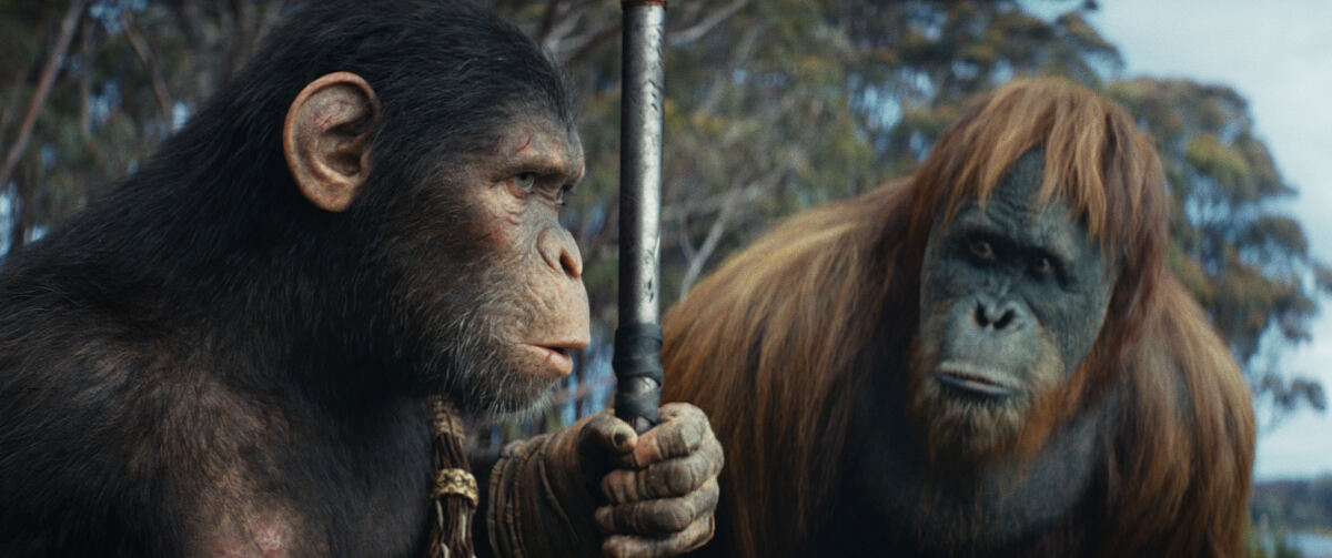 PW - 48 - Kingdom of the Planet of the Apes
