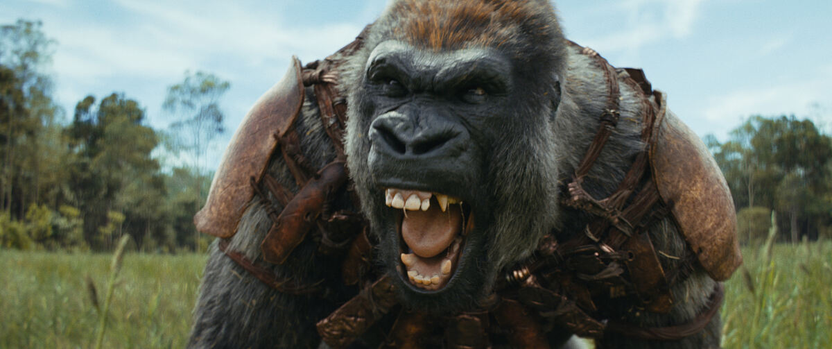 PW - 48 - Kingdom of the Planet of the Apes