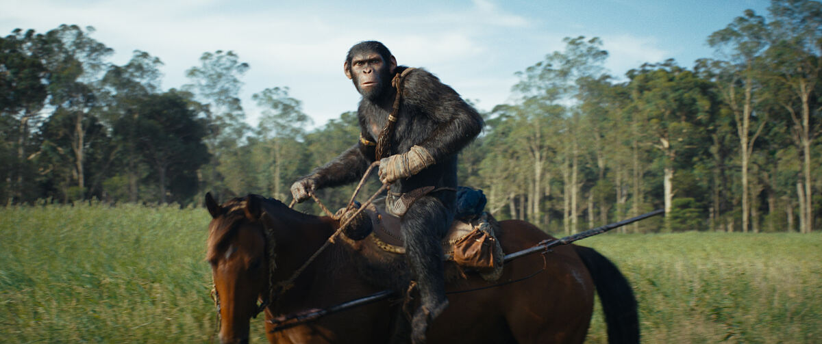 PW - 48 - Kingdom of the Planet of the Apes