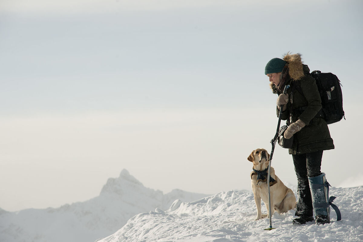 Kate Winslet stars in Twentieth Century Foxs THE MOUNTAIN BETWEEN US.