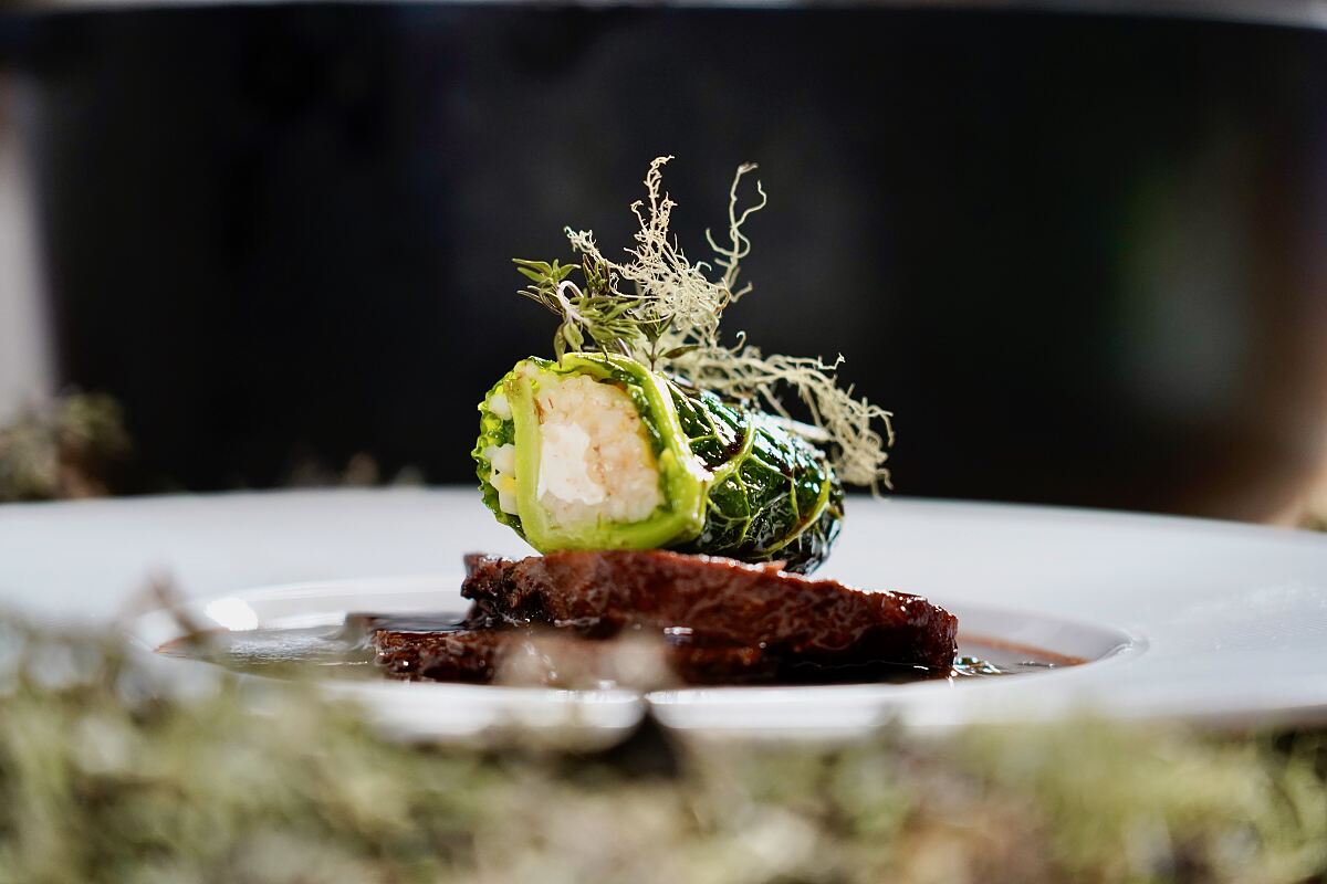 Geschmorte Schulter vom Angus Rind, Krautwickler mit Rollgerste und Tofu, Flechte. Ein Gericht von Stefan Lastin, aufgenommen im Rahmen von Dreharbeiten zu ServusTV´s Paula kocht in  Gamskogelhütte, Katschberghöhe, Kärnten, Österreich, am 05.02.2026. 