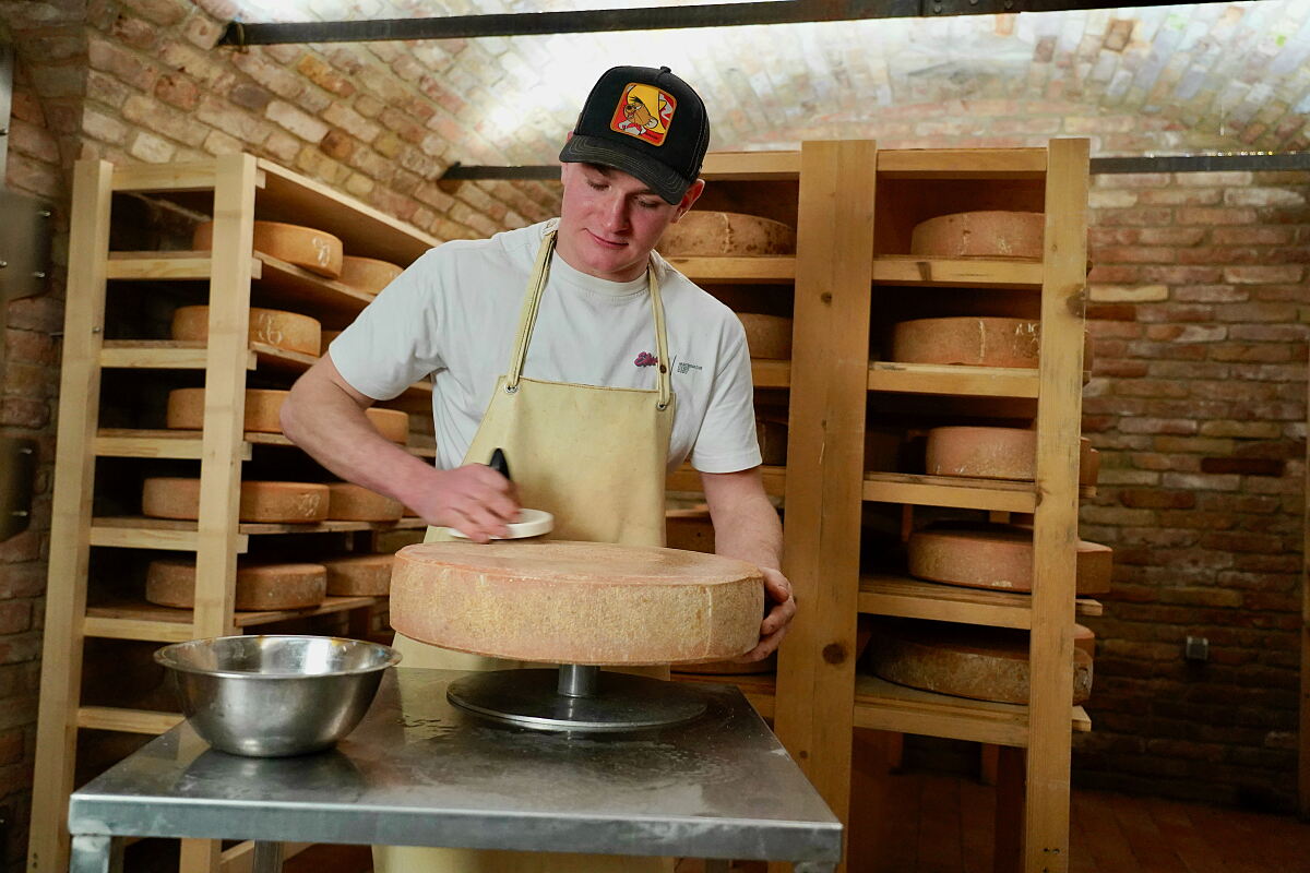 Käser Valentin Daberer bei der Käsepflege in seinem Reifekeller. Aufgenommen im Rahmen von Dreharbeiten zu ServusTV´s Paula kocht in Käserei Daberer, Stollwitz, St. Daniel im Gailtal, Kärnten, Österreich am 14.02.2026. 