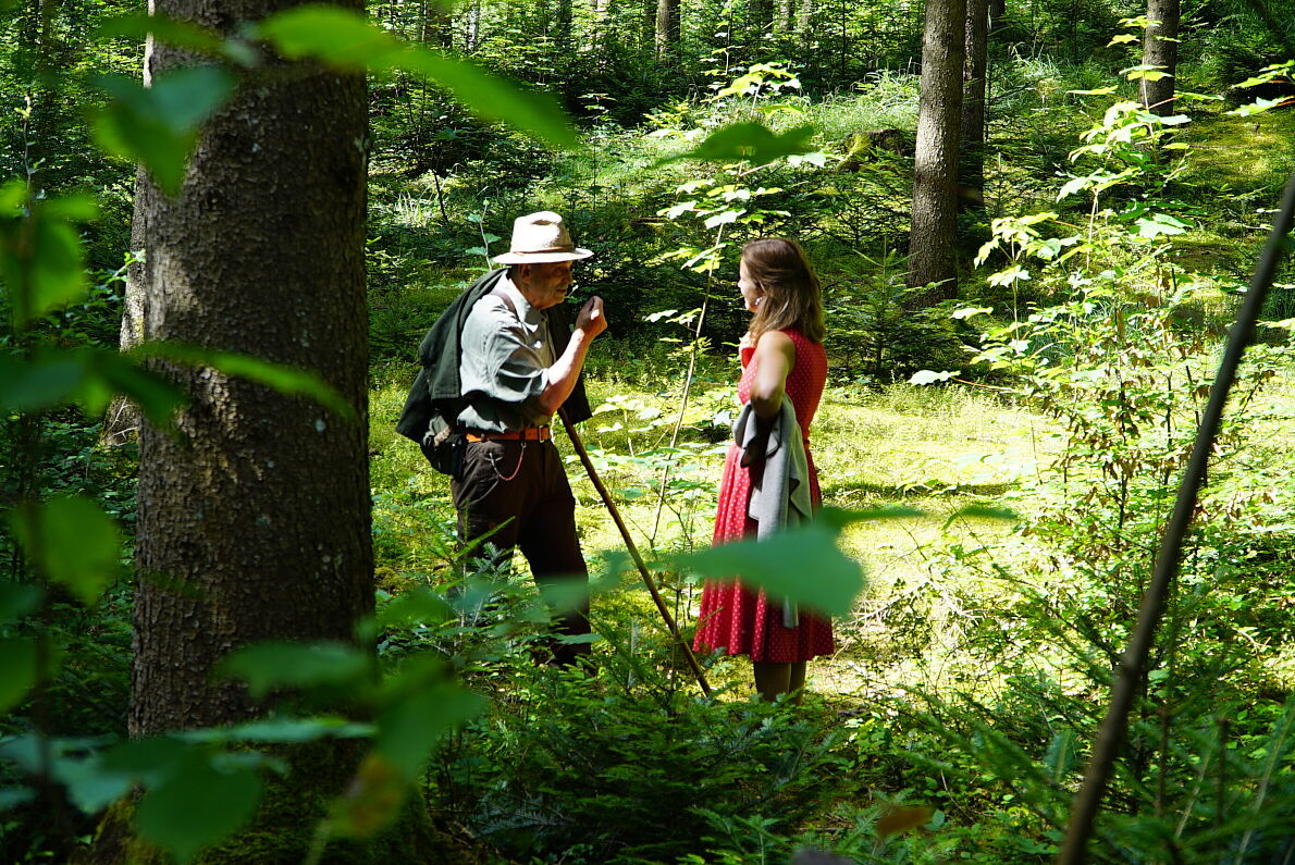 PW - 34 - Heimatleuchten - Hin über d‘Alm - Zwischen Traunsee und Almtal mit Christina Ömmer