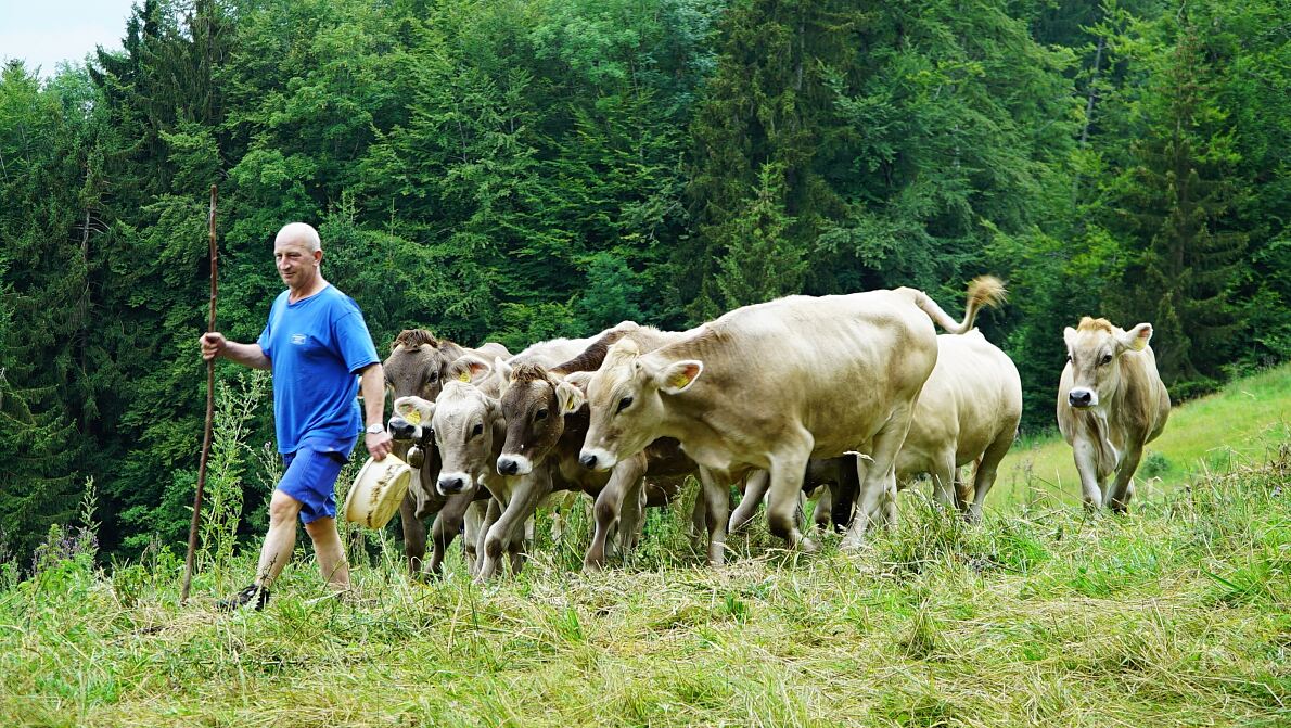 PW - 34 - Heimatleuchten - Hin über d‘Alm - Zwischen Traunsee und Almtal mit Christina Ömmer