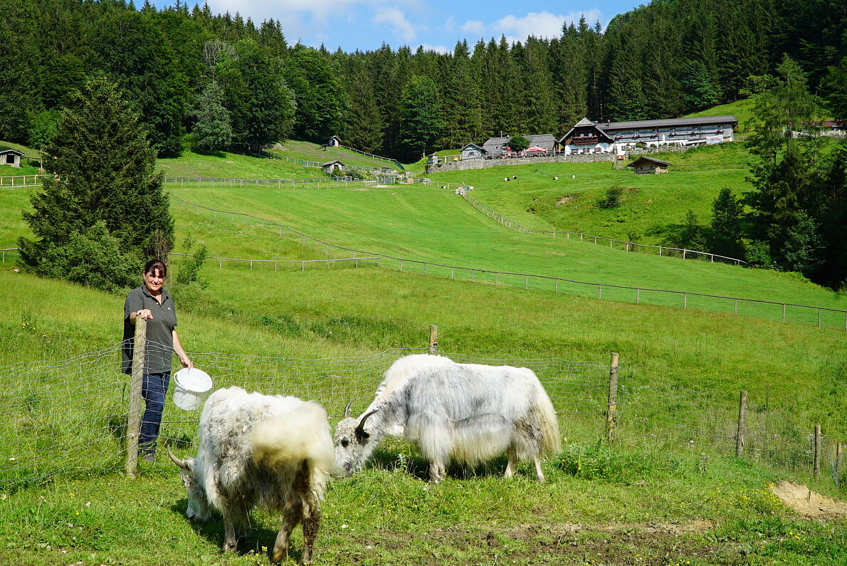 PW - 34 - Heimatleuchten - Hin über d‘Alm - Zwischen Traunsee und Almtal mit Christina Ömmer