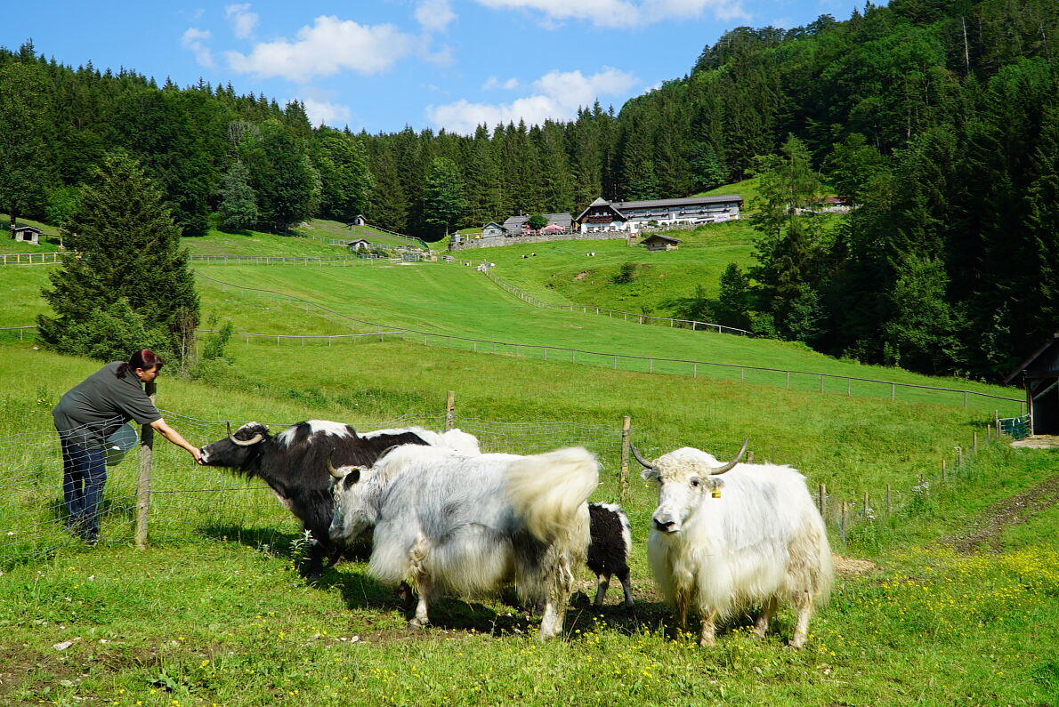 PW - 34 - Heimatleuchten - Hin über d‘Alm - Zwischen Traunsee und Almtal mit Christina Ömmer