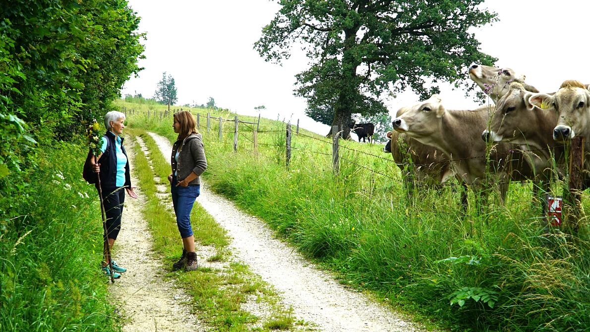 PW - 34 - Heimatleuchten - Hin über d‘Alm - Zwischen Traunsee und Almtal mit Christina Ömmer