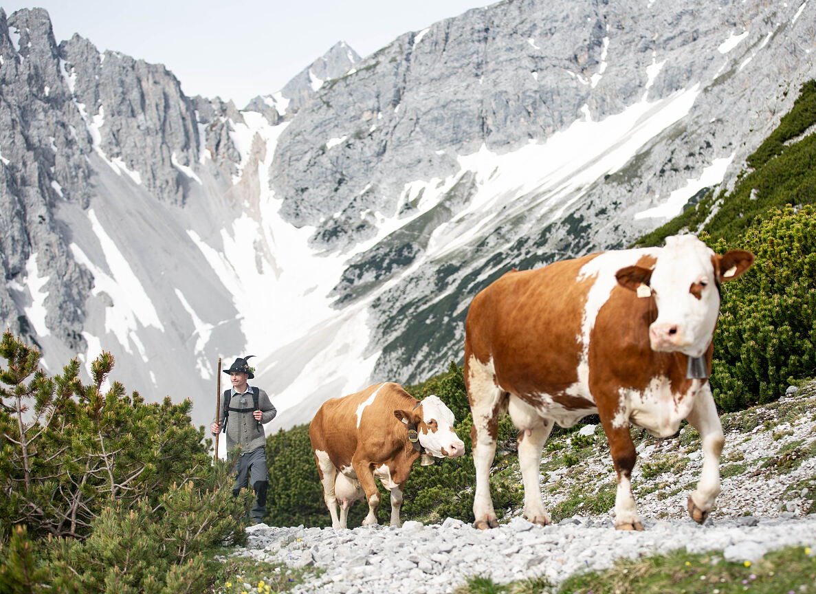 PW - 37 - Heimatleuchten - Wandel im Karwendel