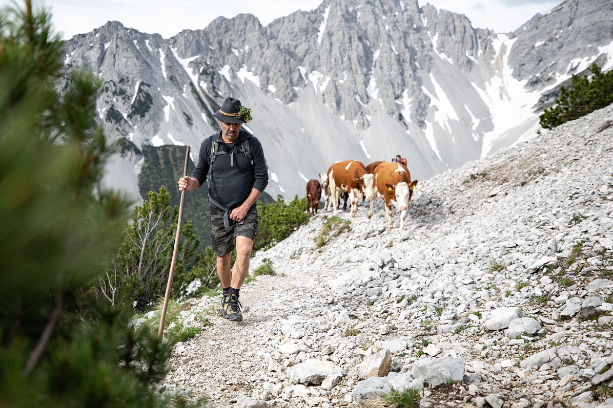 PW - 37 - Heimatleuchten - Wandel im Karwendel