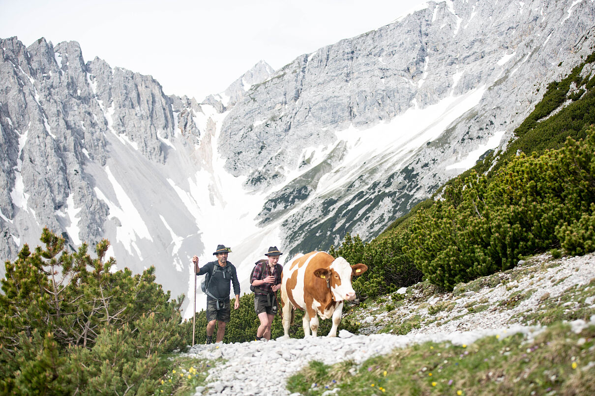 PW - 37 - Heimatleuchten - Wandel im Karwendel