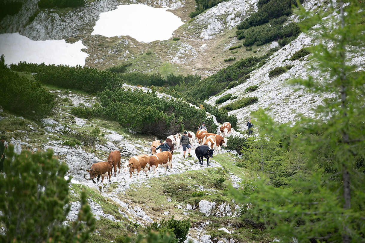 PW - 37 - Heimatleuchten - Wandel im Karwendel