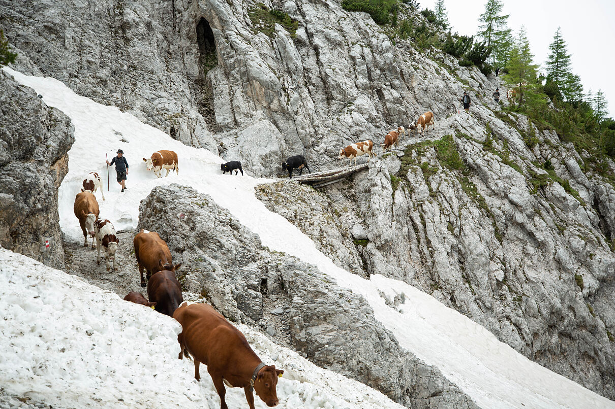 PW - 37 - Heimatleuchten - Wandel im Karwendel