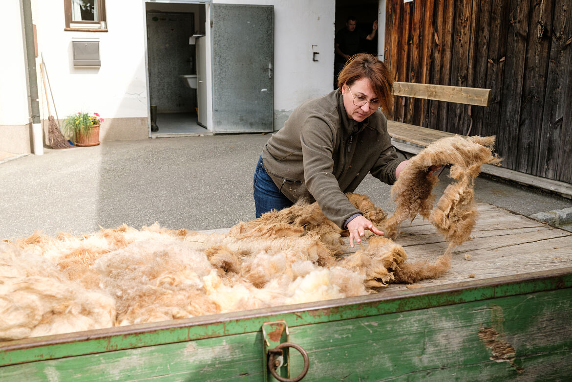 PW - 45 - Heimatleuchten - Der Sauwald – Von wegen Hinterwäldler!