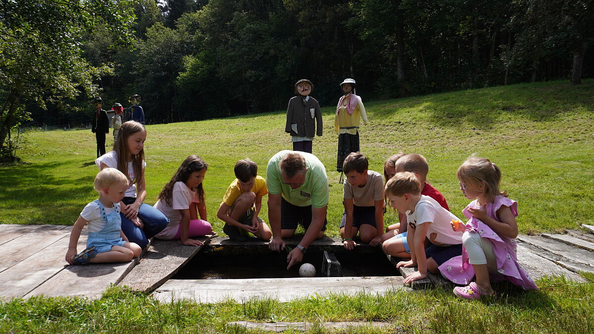 PW - 45 - Heimatleuchten - Der Sauwald – Von wegen Hinterwäldler!