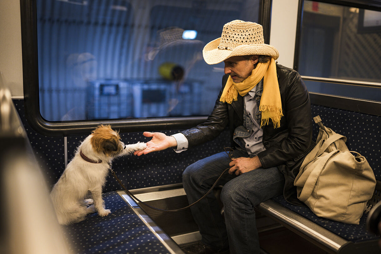 PW - 27 - Ostrowski macht Urlaub - Auf den Hund gekommen