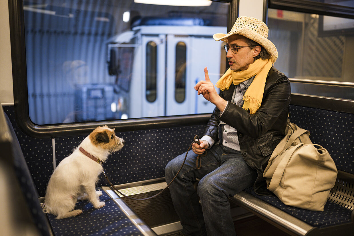 PW - 27 - Ostrowski macht Urlaub - Auf den Hund gekommen