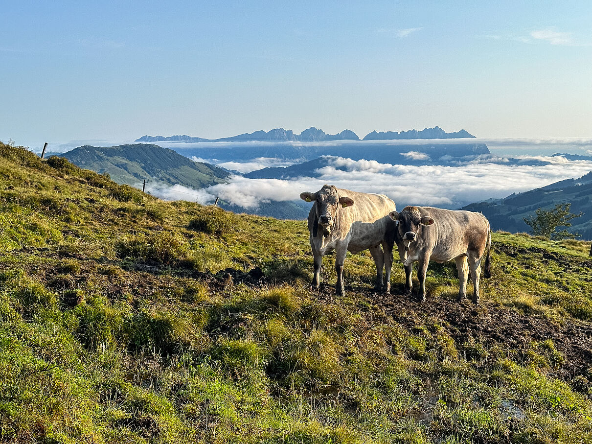 PW - 33 - Heimatleuchten - Rund um den Wilden Kaiser