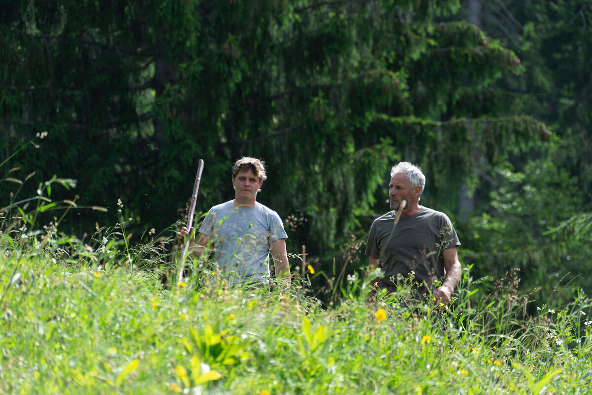 PW - 31 - Heimatleuchten - Sommer im Bauernjahr