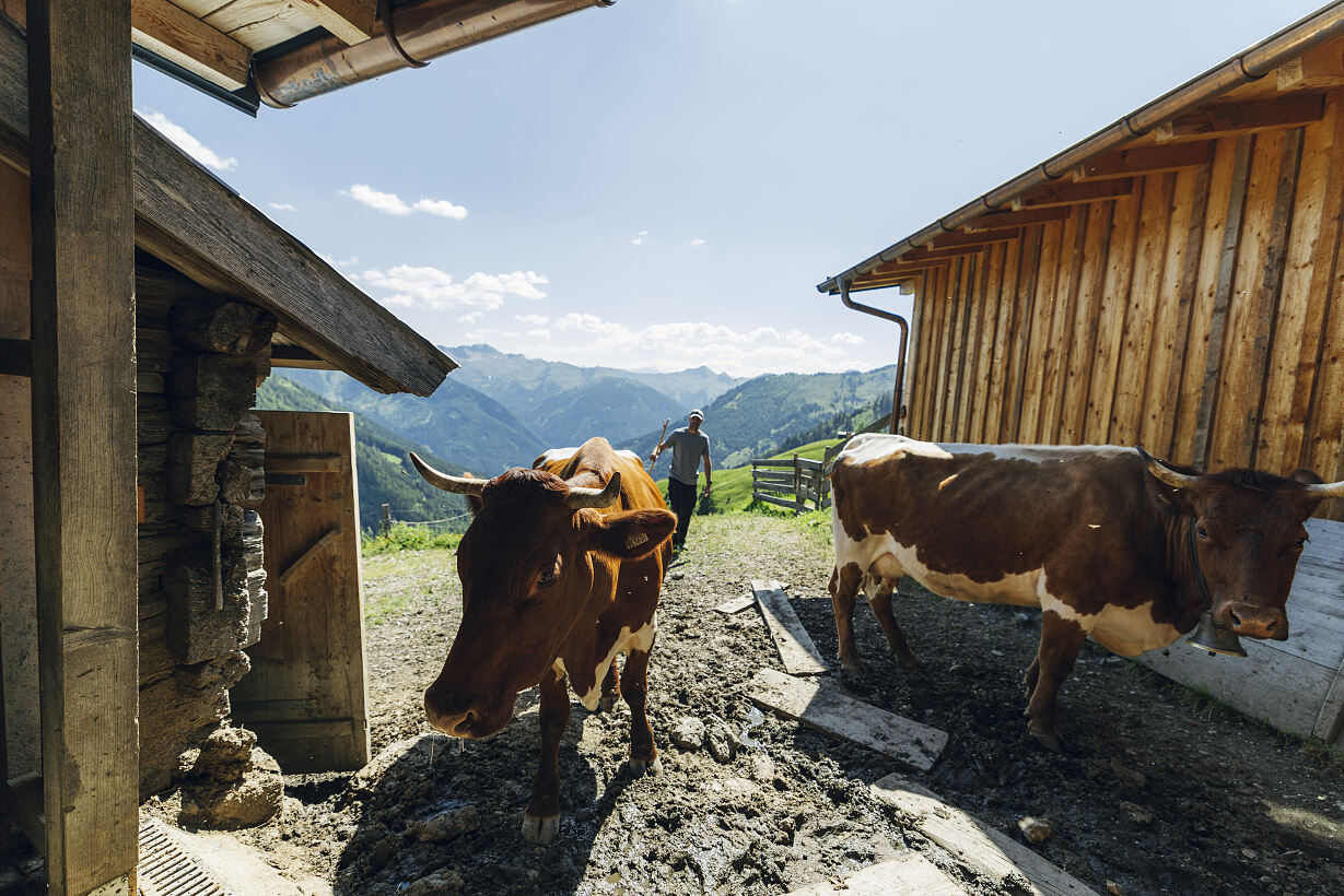 PW - 32 - Heimatleuchten - Im Tal der Almen mit Conny Bürgler