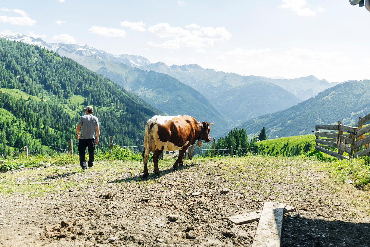 PW - 32 - Heimatleuchten - Im Tal der Almen mit Conny Bürgler