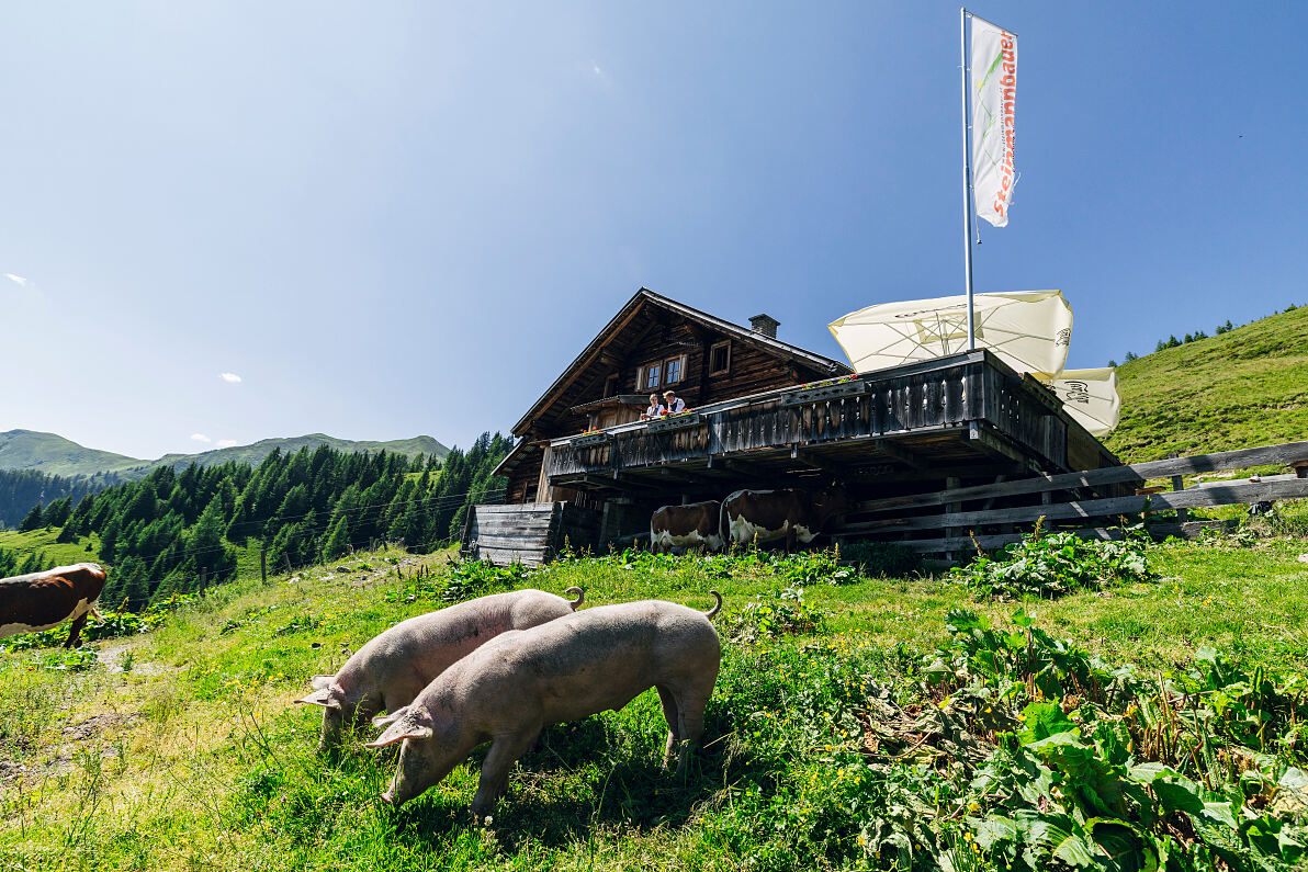 PW - 32 - Heimatleuchten - Im Tal der Almen mit Conny Bürgler
