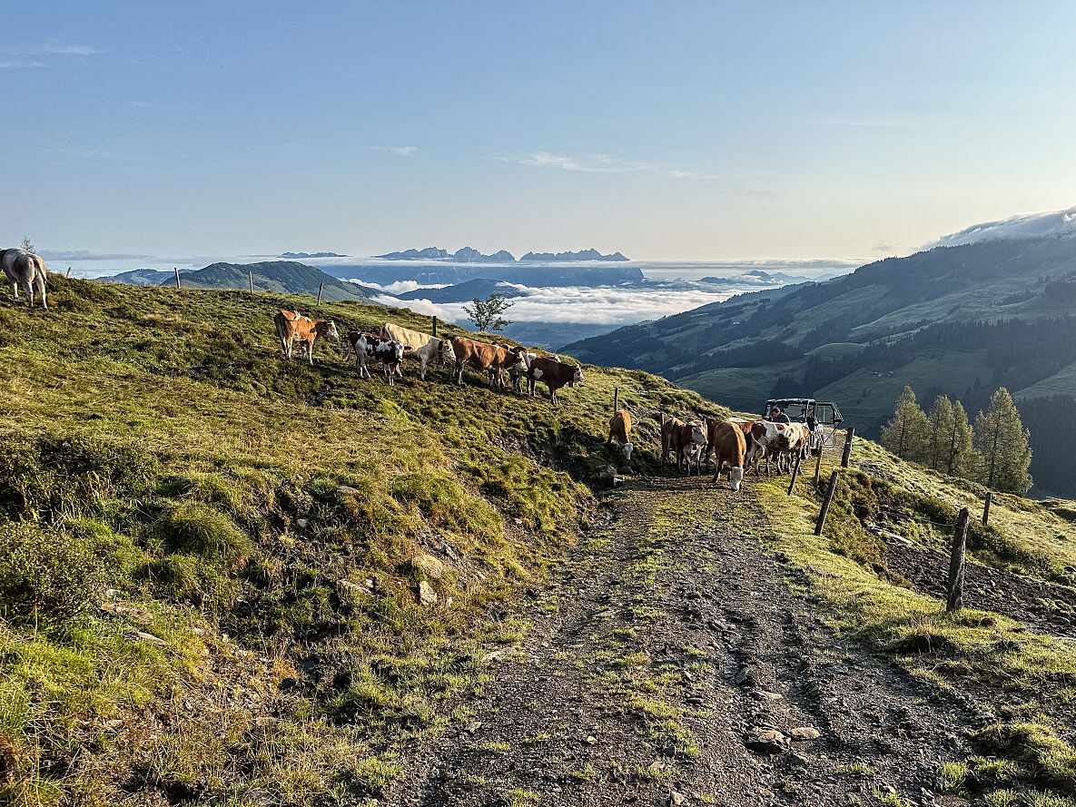 PW - 33 - Heimatleuchten - Rund um den Wilden Kaiser