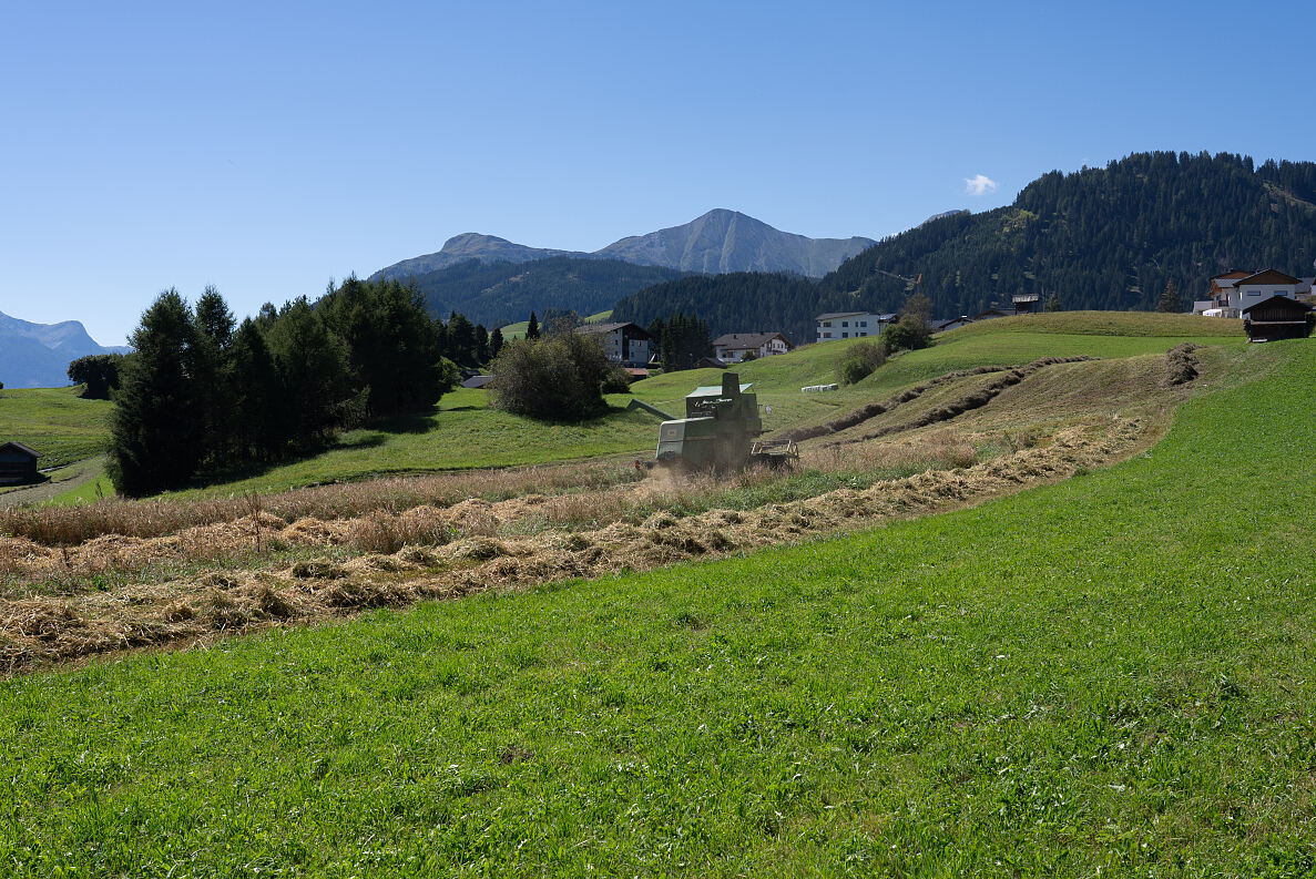 PW - 36 - Heimatleuchten