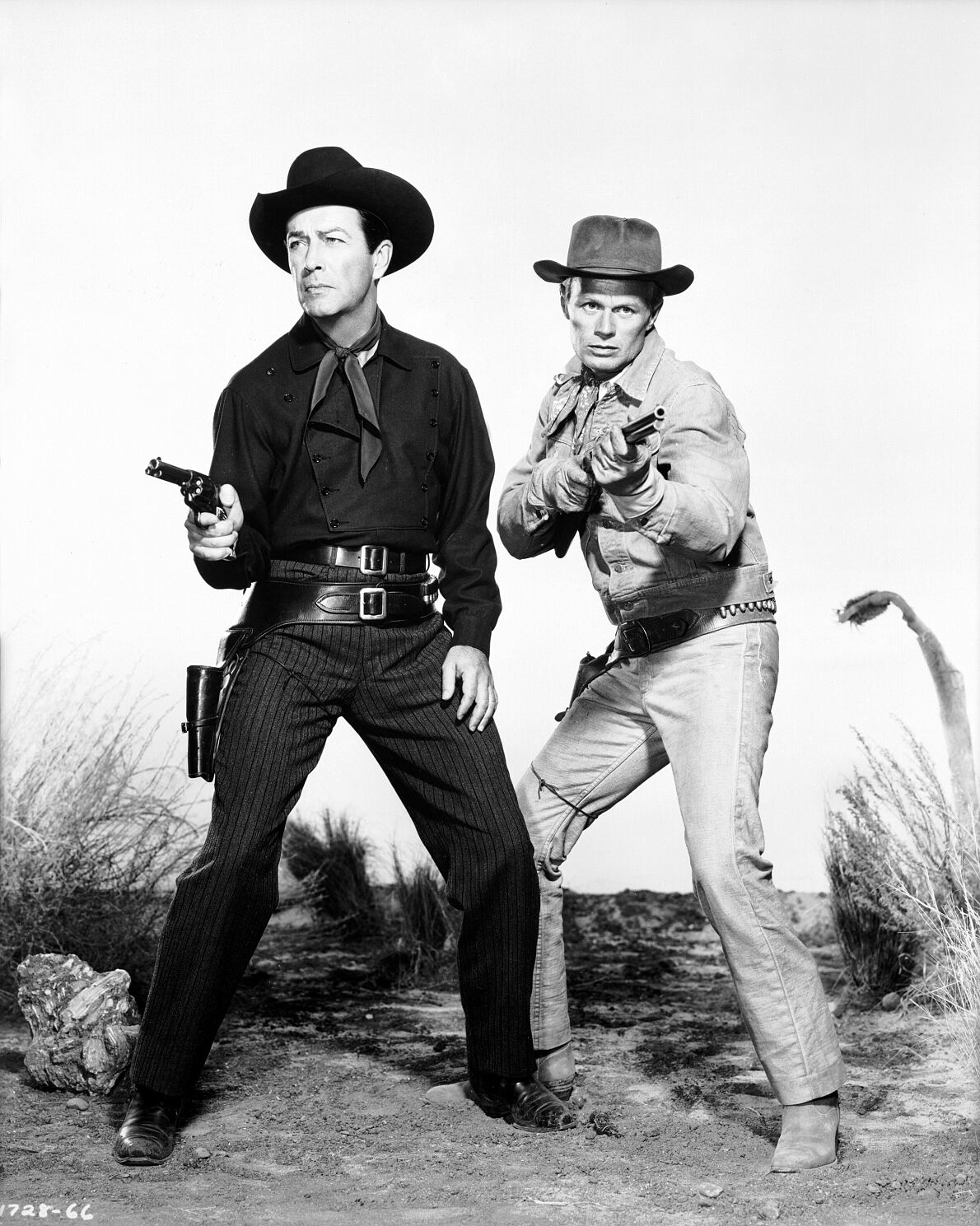 PW - 39 - The Law and Jake Wade