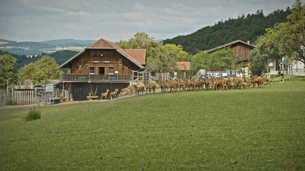 PW - 41 - Heimatleuchten - Aus der Reihe tanzen - Niederösterreichs Wirtshäuser
