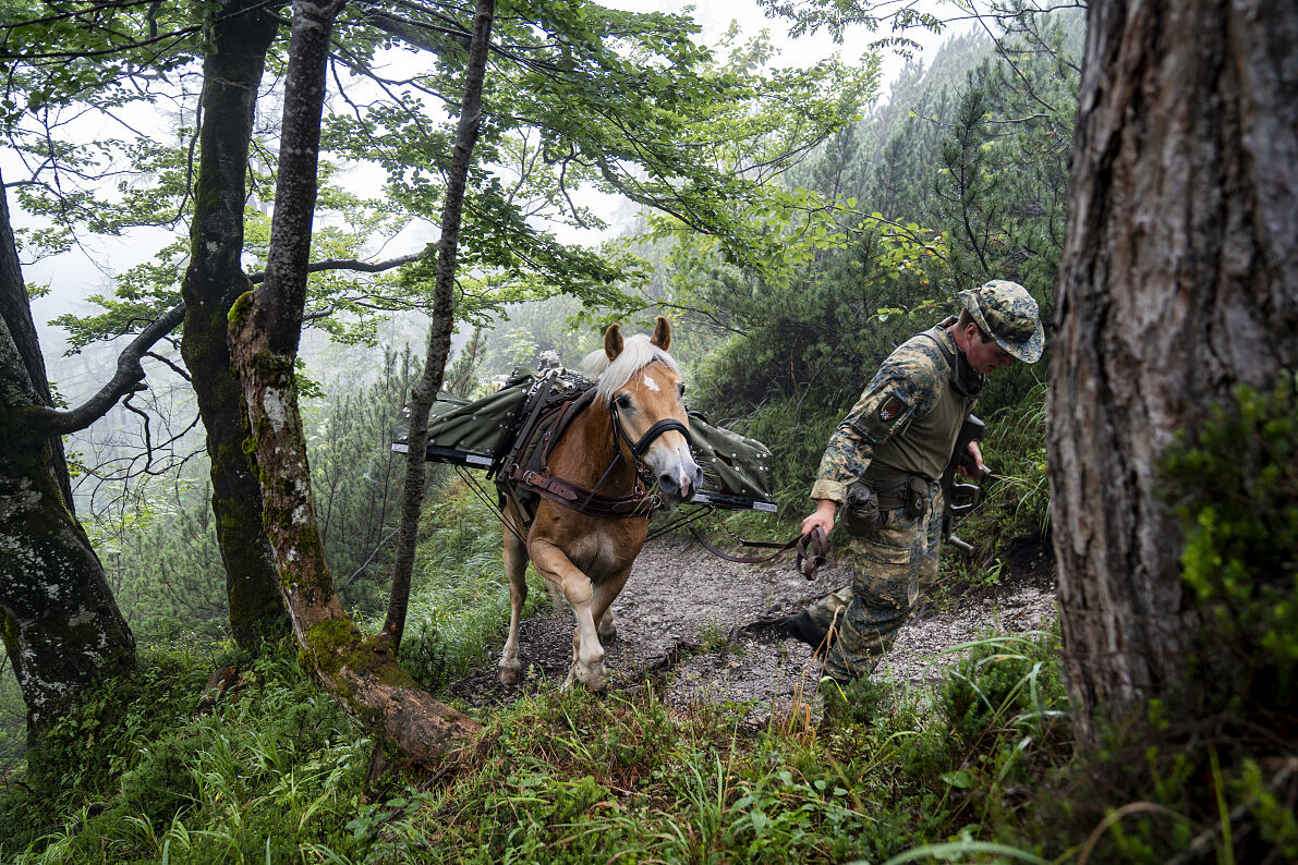 PW - 43 - Bergwelten - Loferer und Leoganger Steinberge