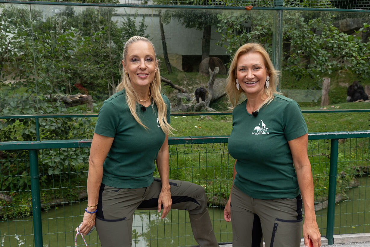 PW - 41 - Berg und Talfahrt - Angelika Niedetzky unterwegs mit Lilian Klebow