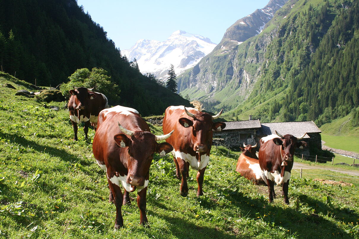 PW - 43 - Ab Hof: Zeit