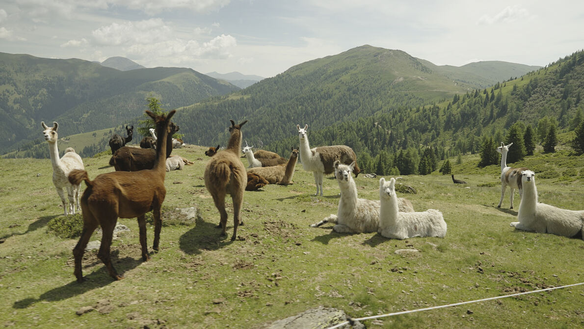 PW - 44 - Heimatleuchten - Rund um den Millstätter See