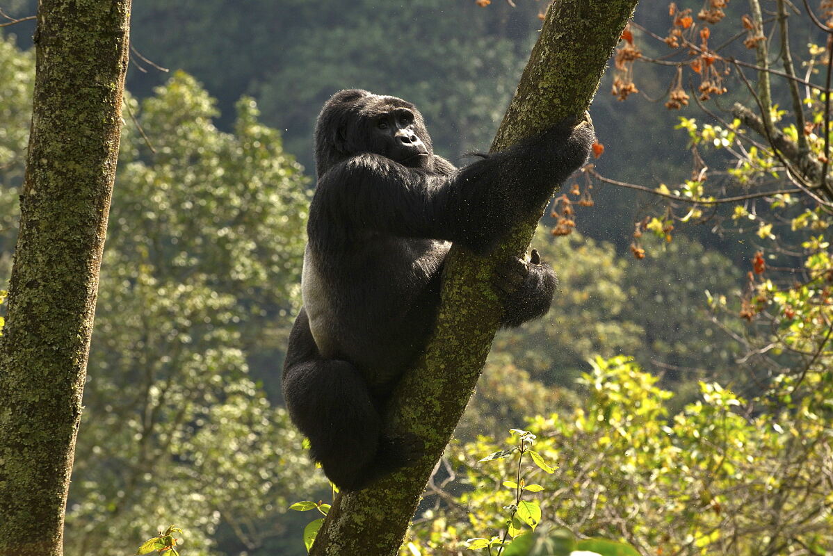PW - 45 - Wilde Zeiten - 10 Jahre Terra Mater