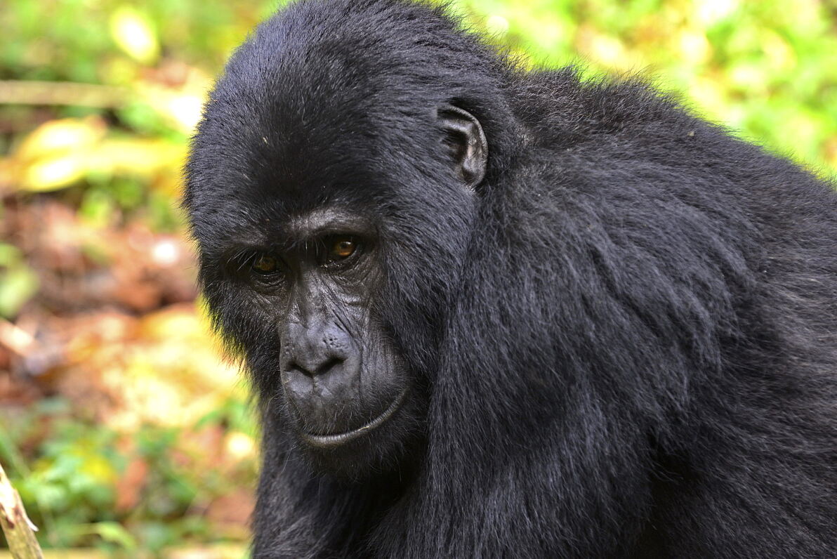 PW - 45 - Wilde Zeiten - 10 Jahre Terra Mater