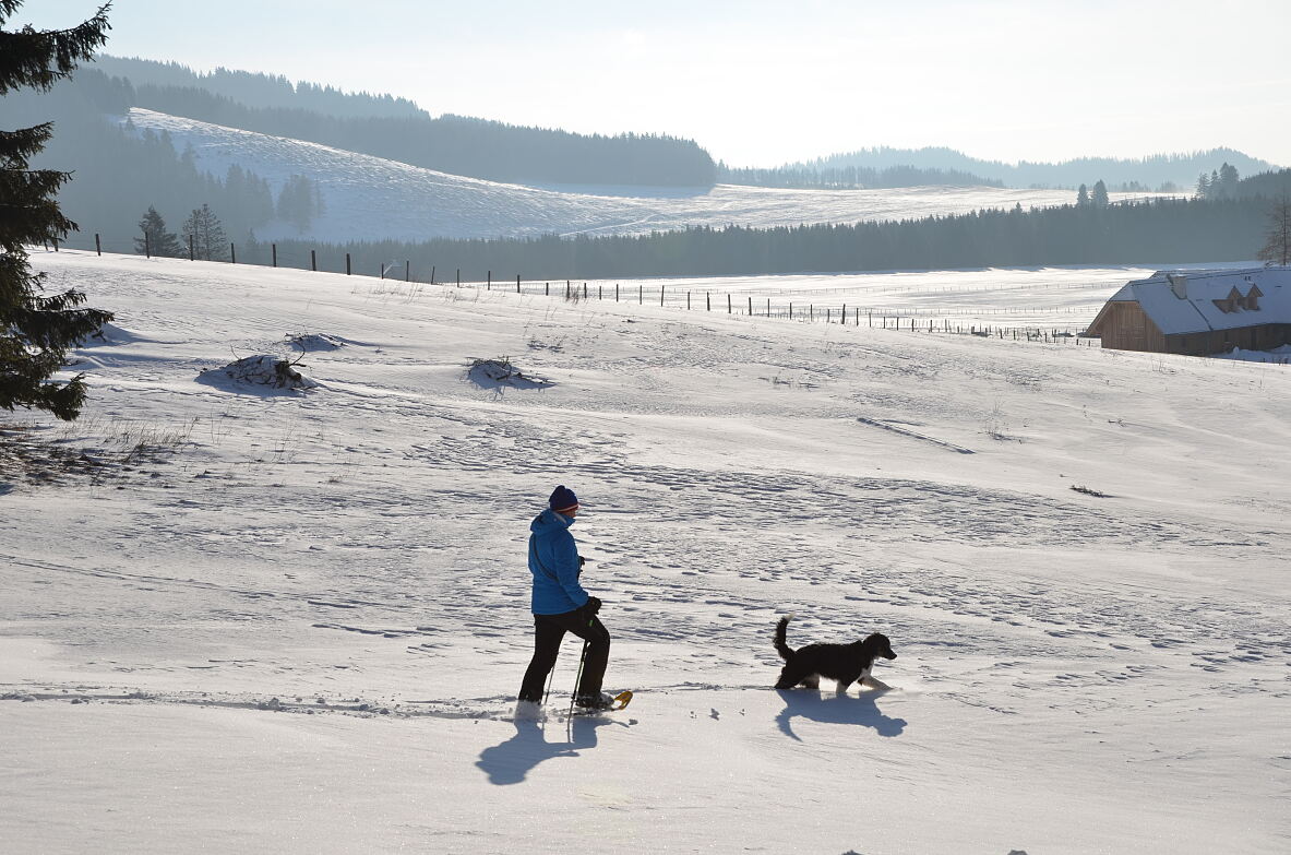 PW - 50 - Österreichische Hotellegenden - Traditionshäuser in Familienhand