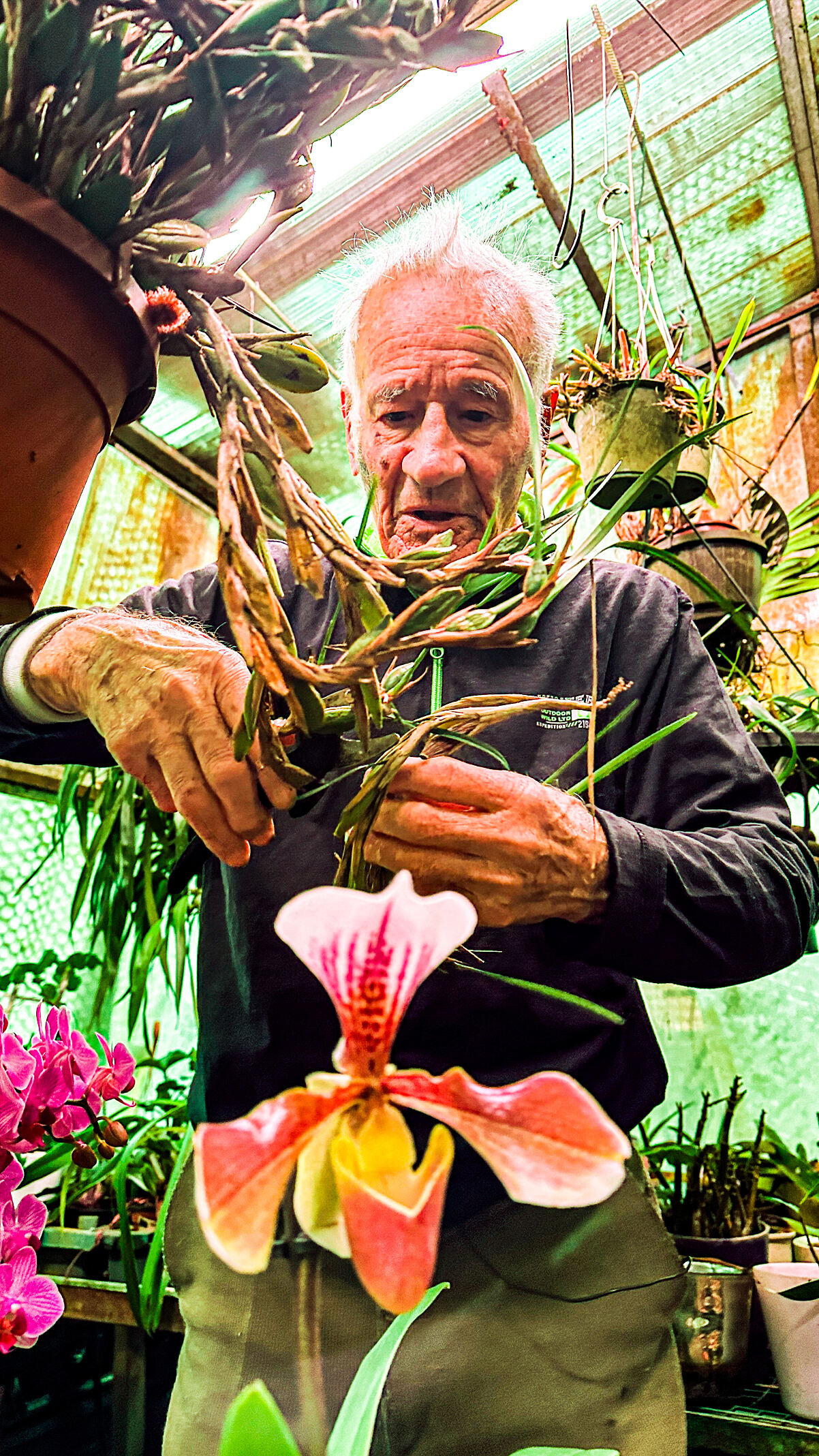 PW - 50 - Solang der Herrgott will - Die Zeit, die noch bleibt
