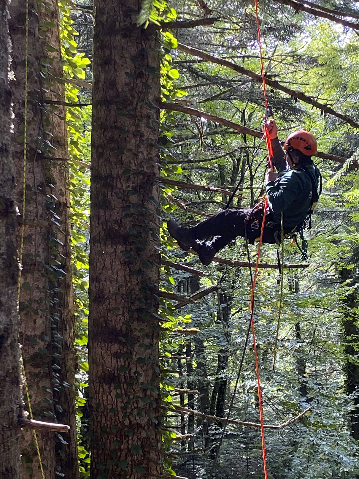 PW - 51 - The Nature of Christmas