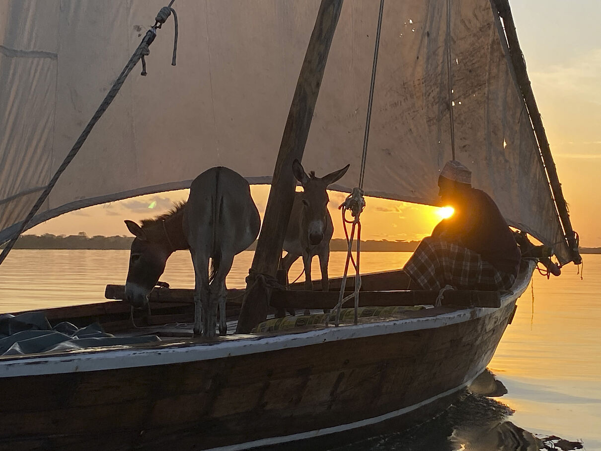 PW - 51 - The Nature of Christmas