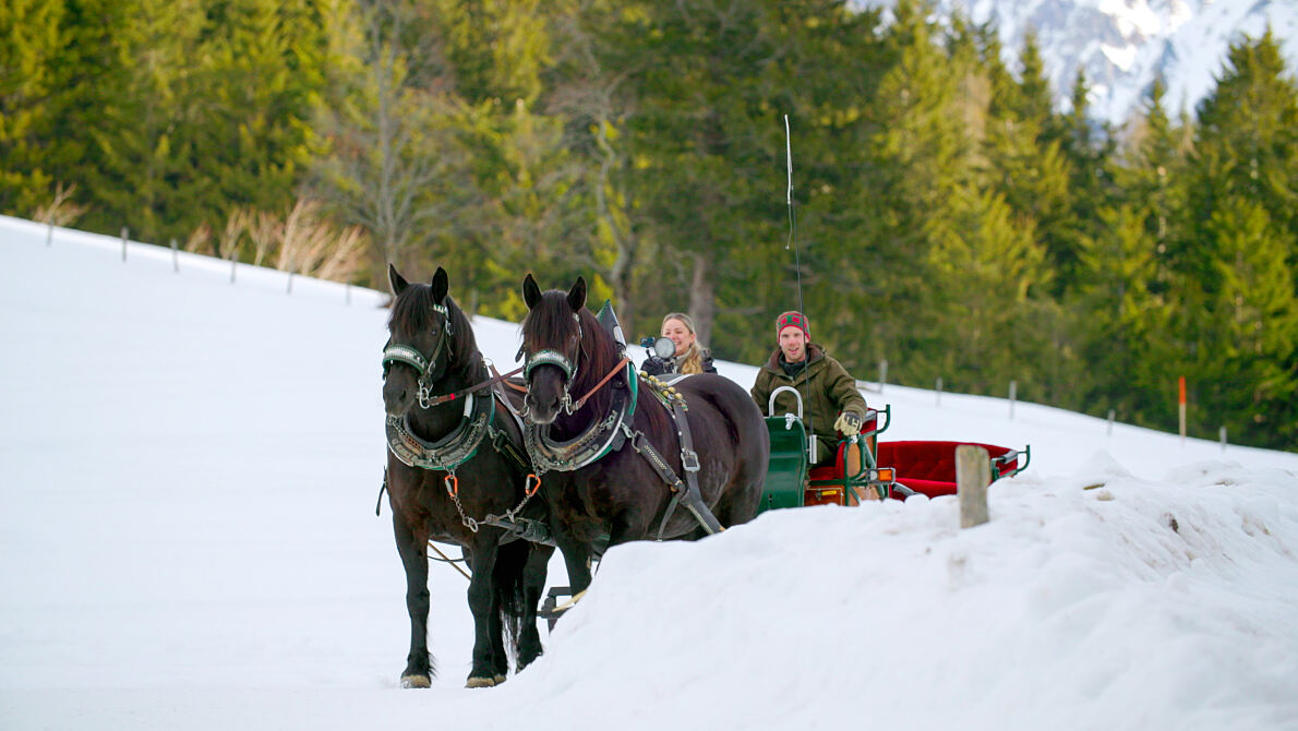 PW - 48 - Paula kocht