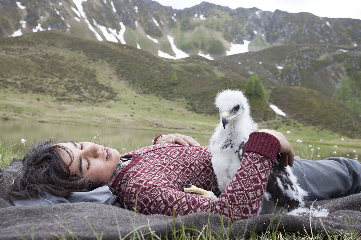 PW - 52 - Wie Brüder im Wind