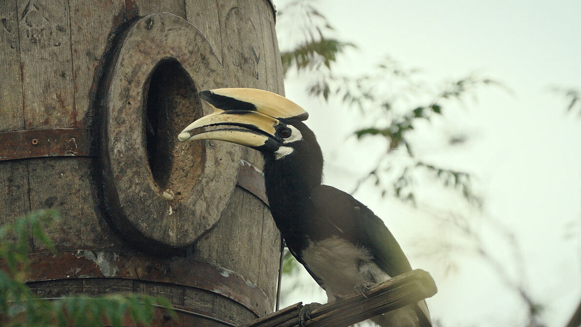 PW - 02 - Kui Buri - Thailands Hidden Eden