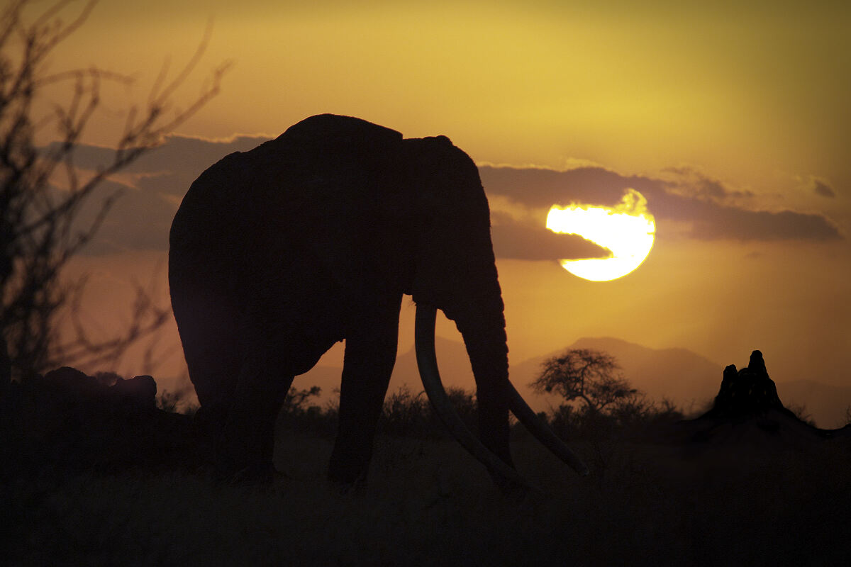 PW - 03 - Terra Mater