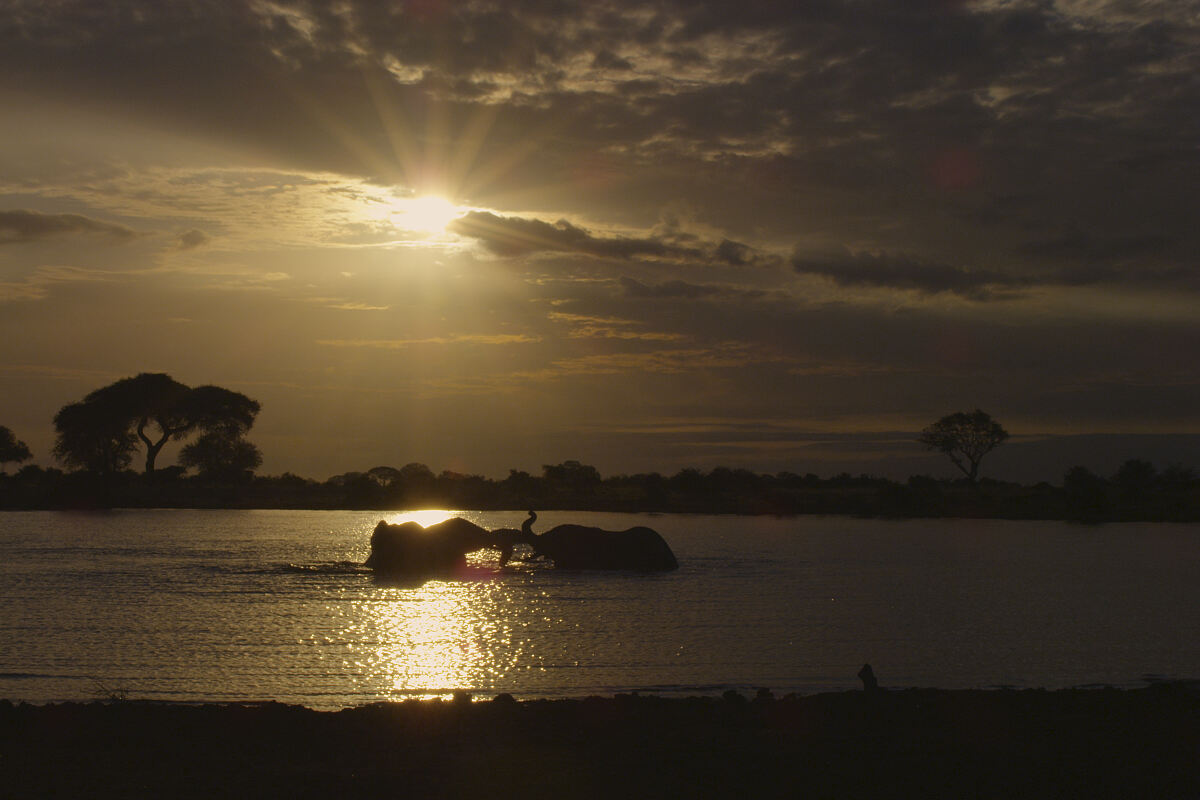 PW - 03 - Terra Mater