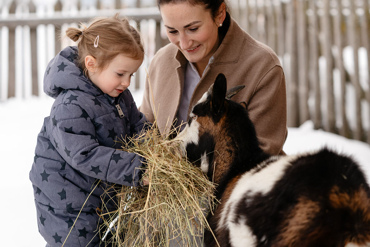 PW - 03 - Österreichische Hotellegenden - Traditionshäuser in Familienhand