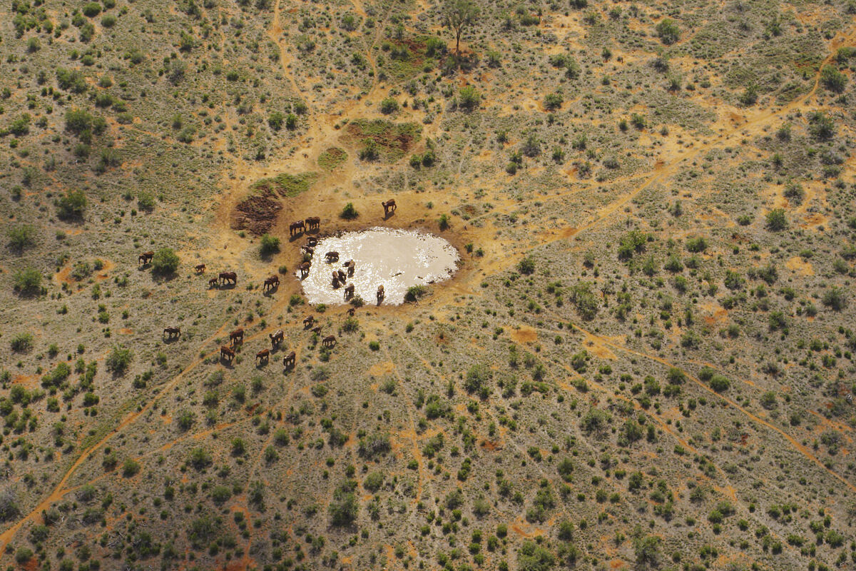 PW - 04 - Terra Mater - Eine Perle im Sand