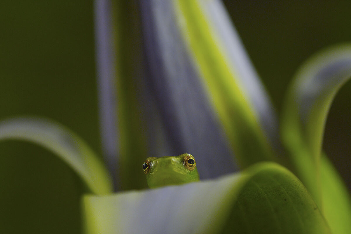 PW - 04 - Terra Mater - Eine Perle im Sand